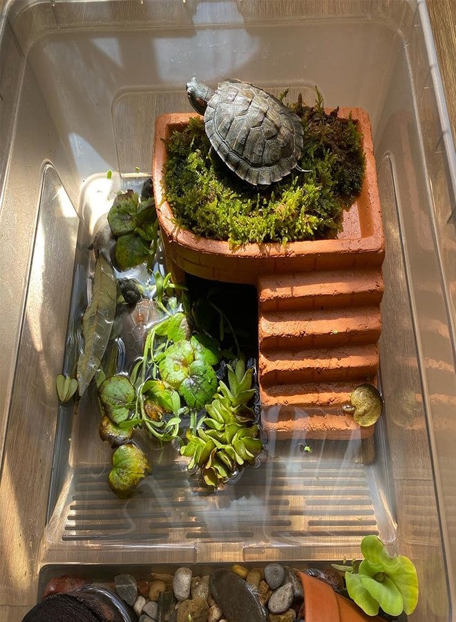Flushbay Turtle Basking Platform Climbing Ramp Reptile Hide Cave Resting Terrace Large Bearded Dragon Basking Platform Humid Hide for Tortoise, Bearded Dragon,Leopard Gecko,Lizard (S) - Image 5